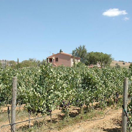 Agriturismo Pian Dei Pini มอนเตียโน ภายนอก รูปภาพ