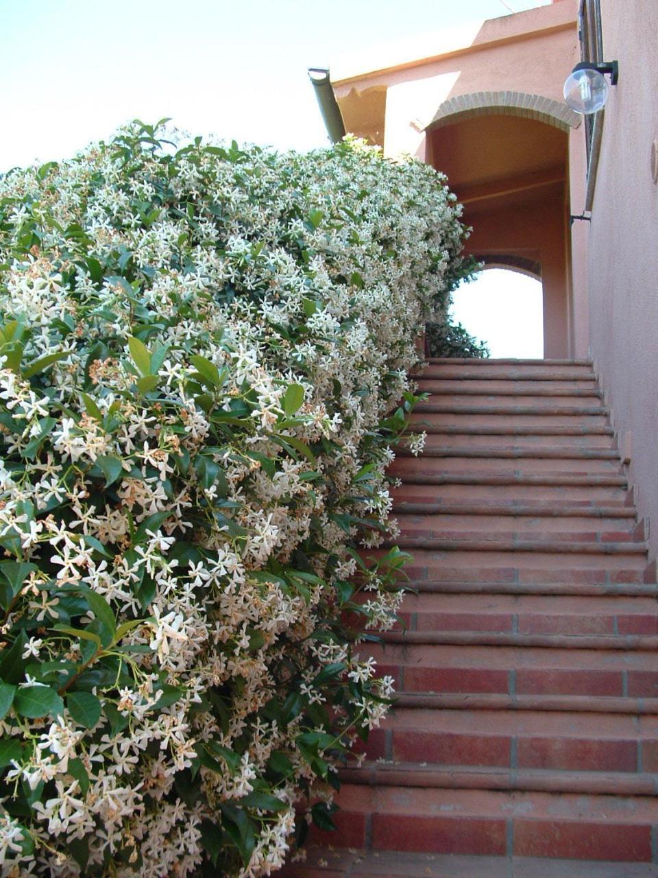 Agriturismo Pian Dei Pini มอนเตียโน ภายนอก รูปภาพ