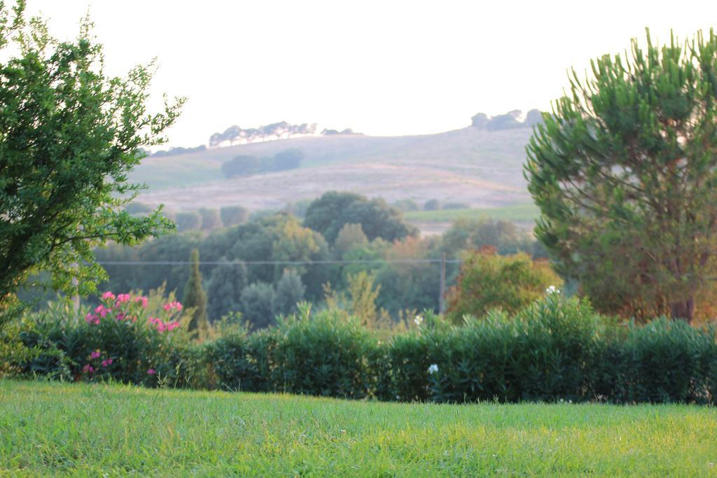 Agriturismo Pian Dei Pini มอนเตียโน ภายนอก รูปภาพ